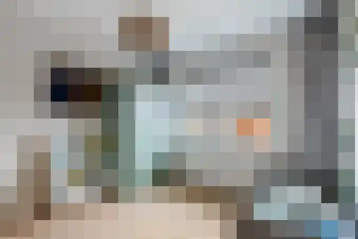 Melksloot 18 Alkmaar thumbnail 23