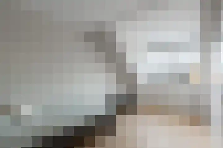 Melksloot 18 Alkmaar thumbnail 32