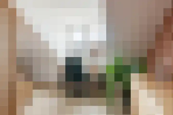 Melksloot 18 Alkmaar thumbnail 34