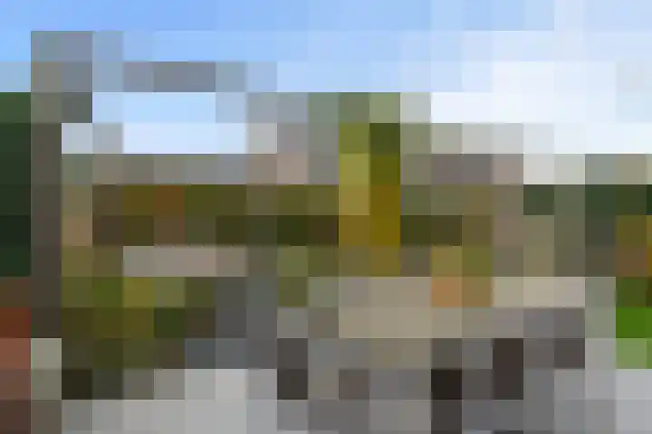 Melksloot 18 Alkmaar thumbnail 36