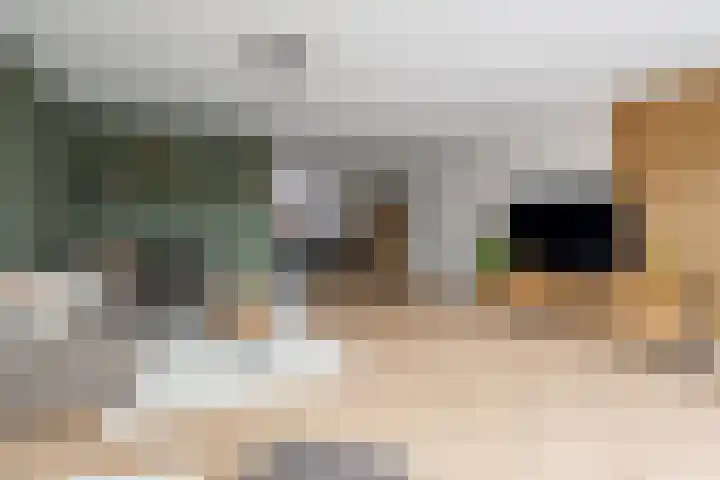 Melksloot 18 Alkmaar thumbnail 8