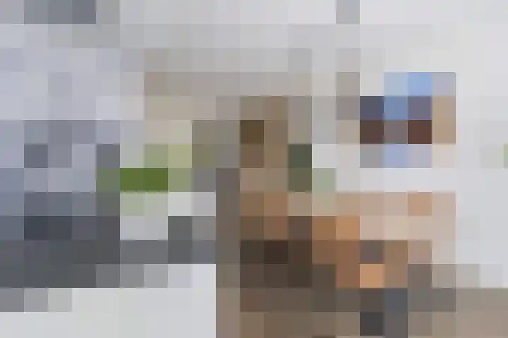 Melksloot 20 Alkmaar thumbnail 13