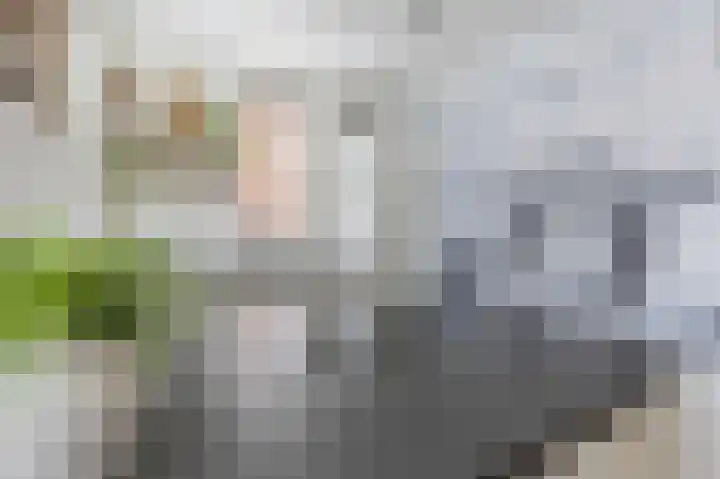 Melksloot 20 Alkmaar thumbnail 15