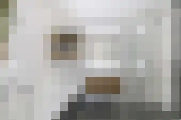 Melksloot 20 Alkmaar thumbnail 33