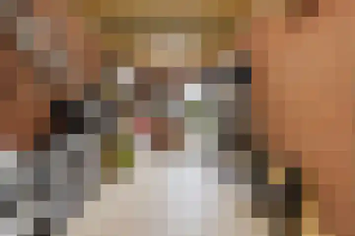 Melksloot 20 Alkmaar thumbnail 41