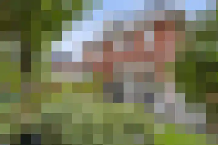 Melksloot 20 Alkmaar thumbnail 44