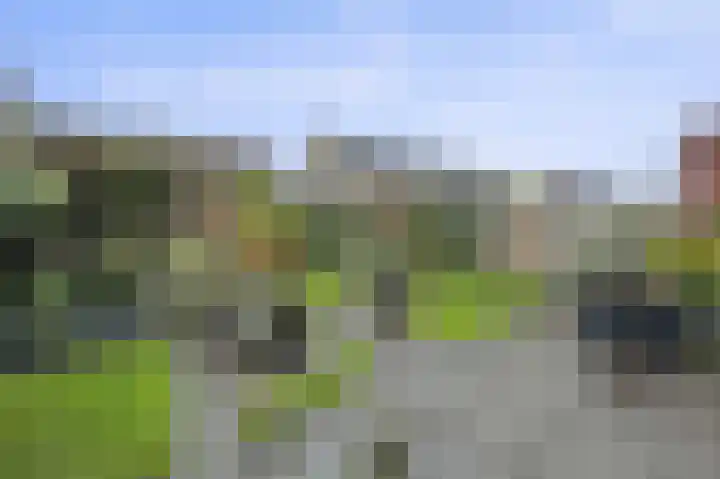Melksloot 20 Alkmaar thumbnail 45