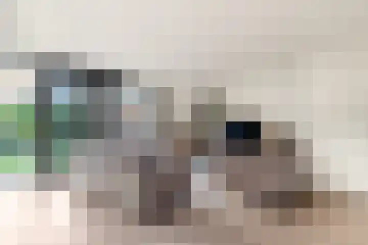 Melksloot 28 Alkmaar thumbnail 13
