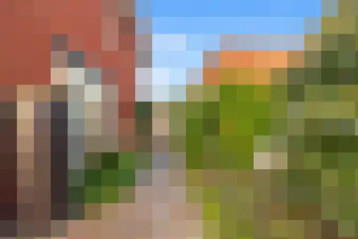 Melksloot 28 Alkmaar thumbnail 41