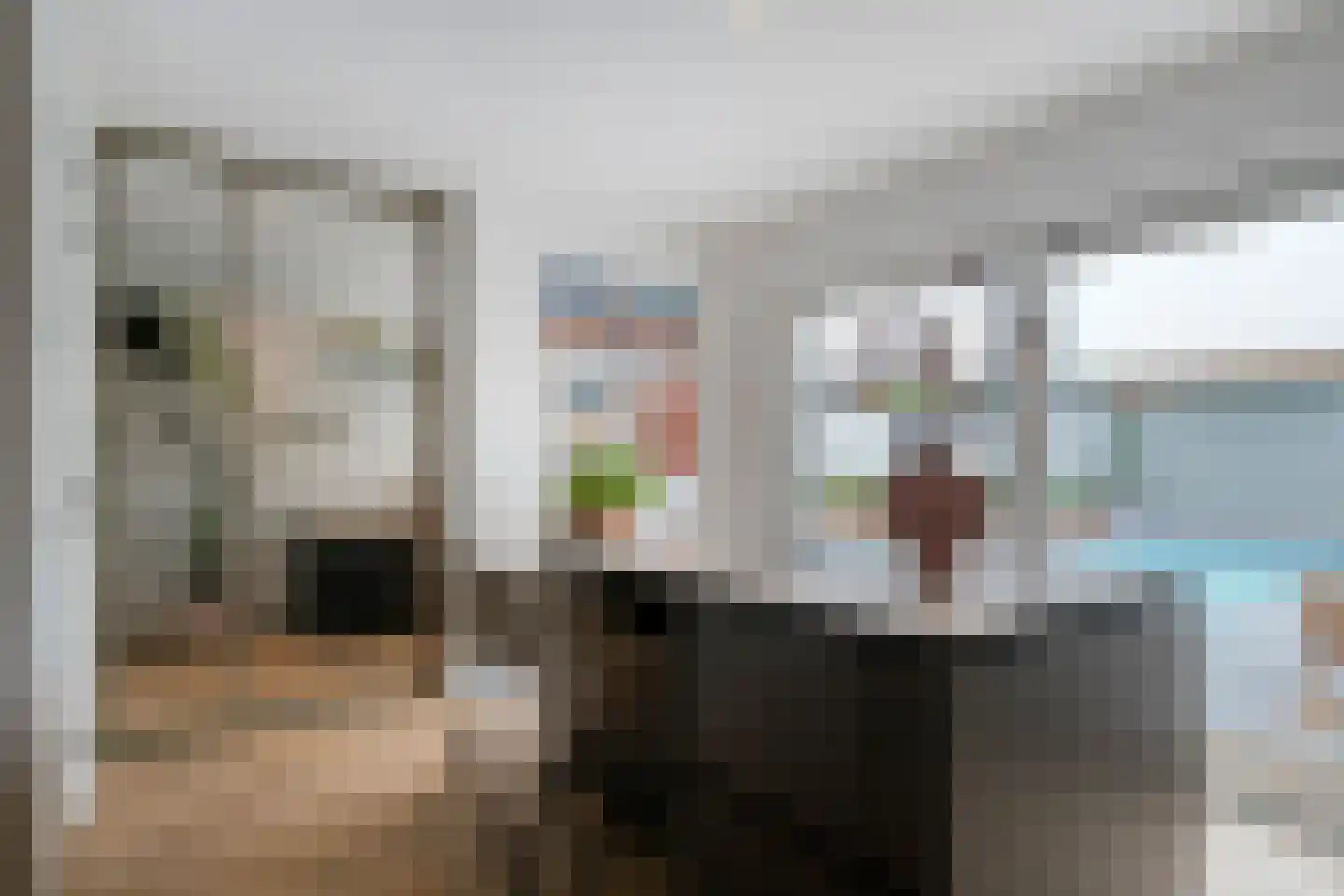 Melkster 12 Gemert thumbnail 10