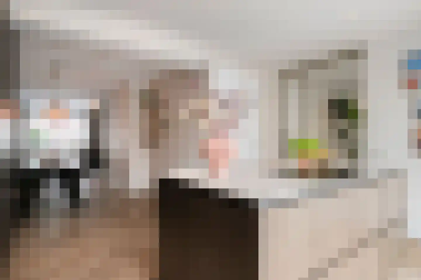 Melkster 12 Gemert thumbnail 11