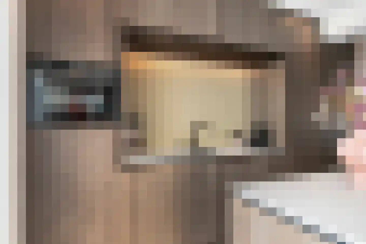Melkster 12 Gemert thumbnail 12