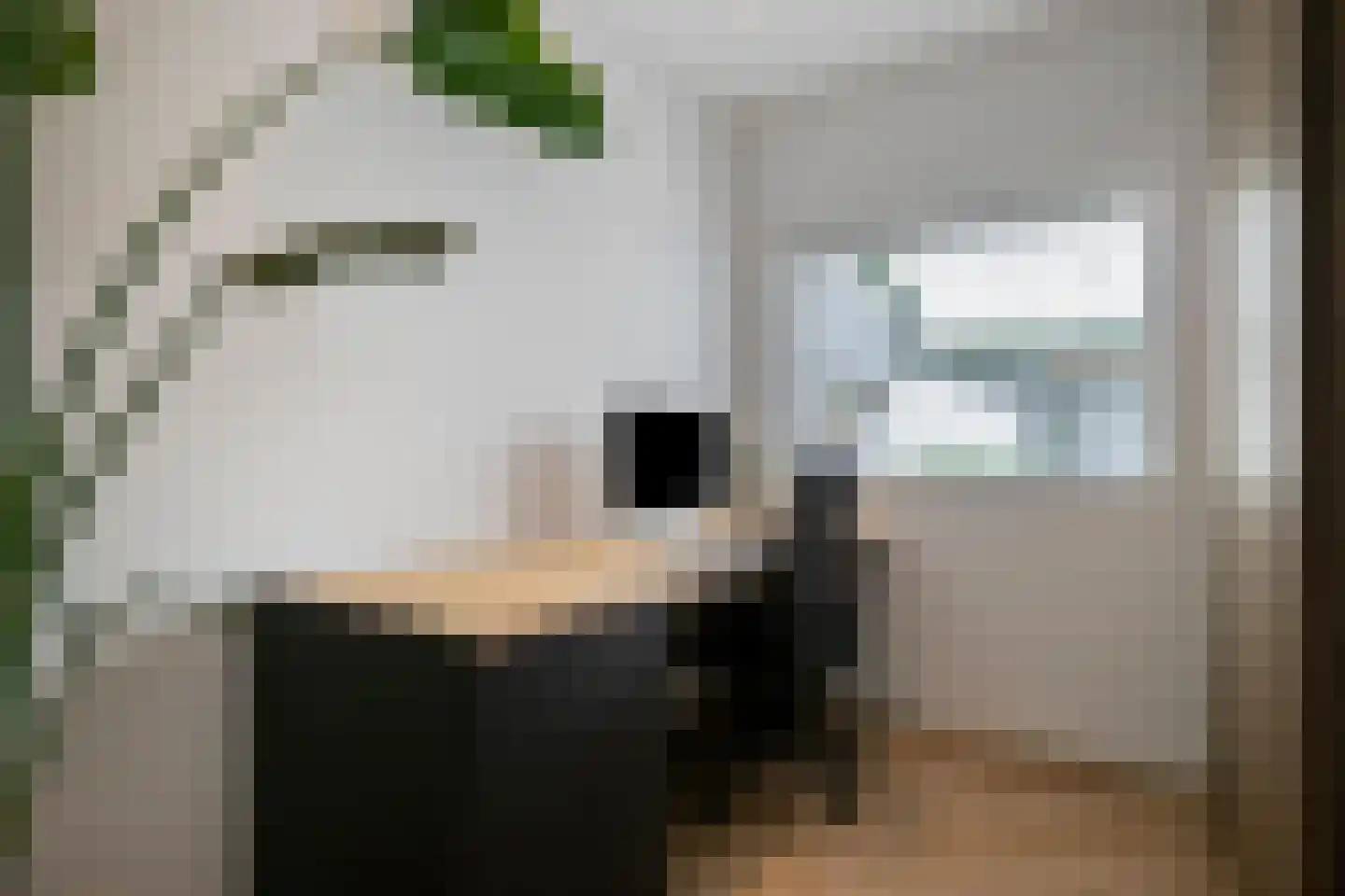Melkster 12 Gemert thumbnail 14