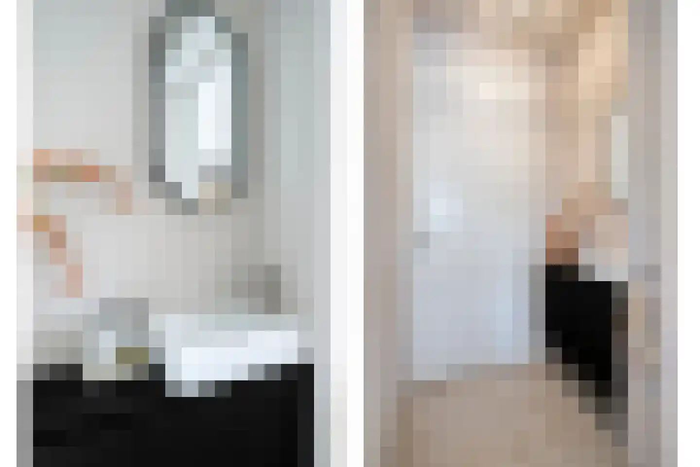 Melkster 12 Gemert thumbnail 15