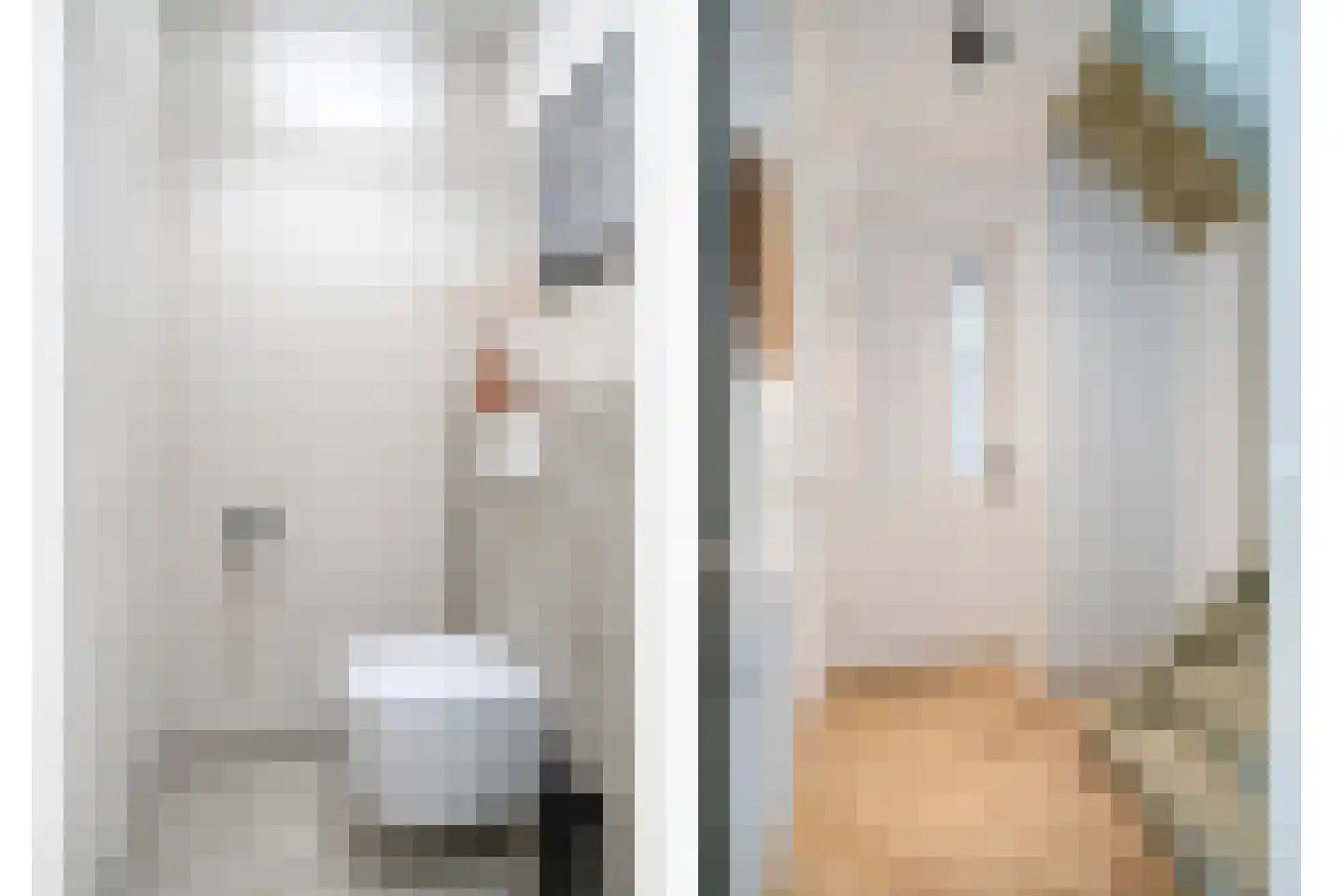Melkster 12 Gemert thumbnail 16