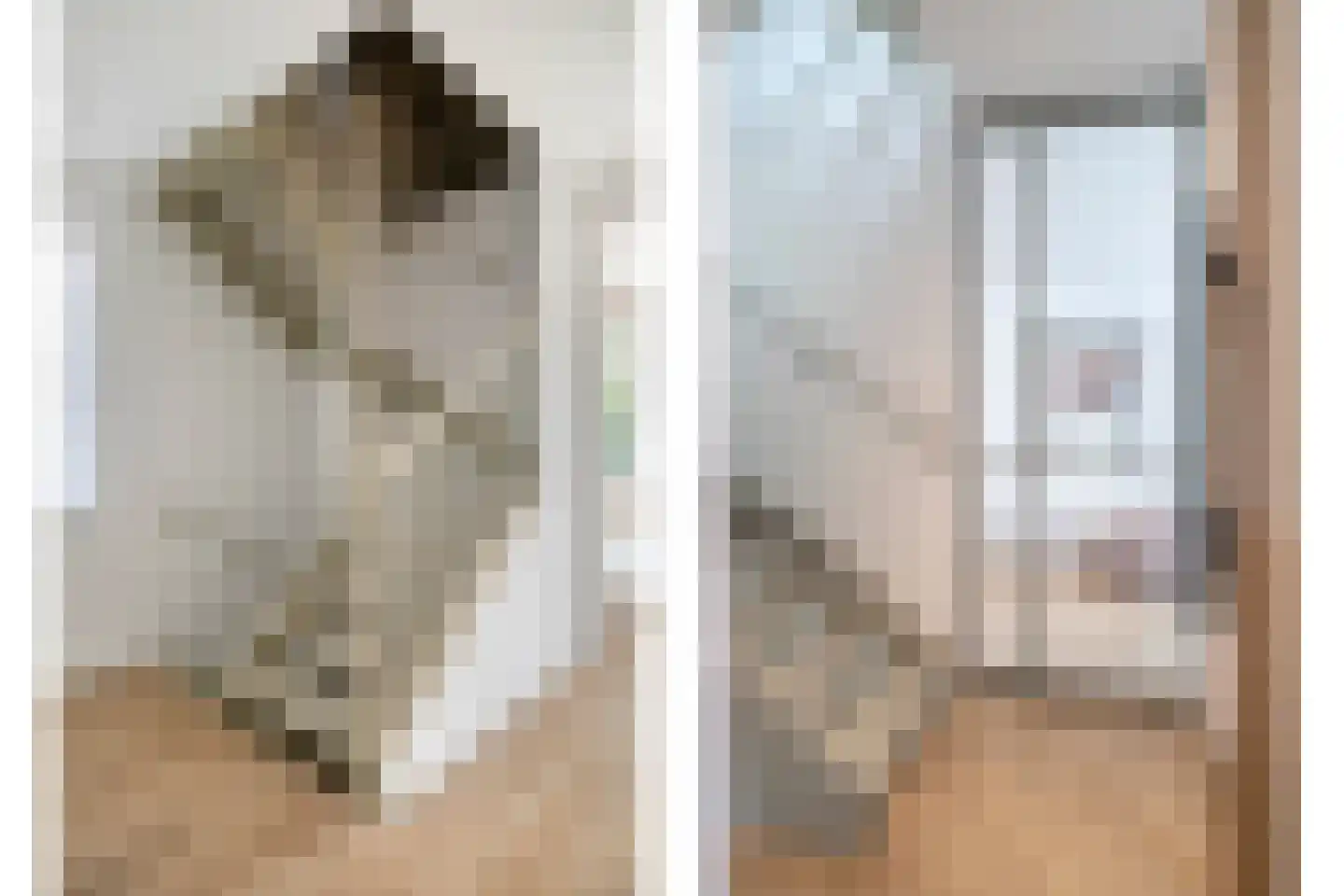 Melkster 12 Gemert thumbnail 19