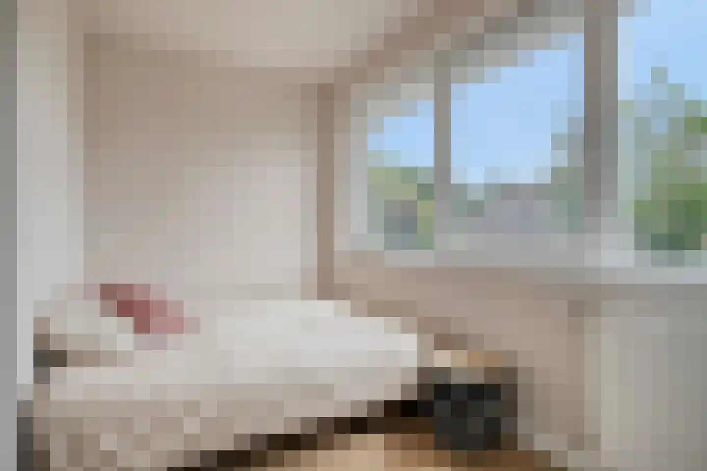 Melkster 12 Gemert thumbnail 24