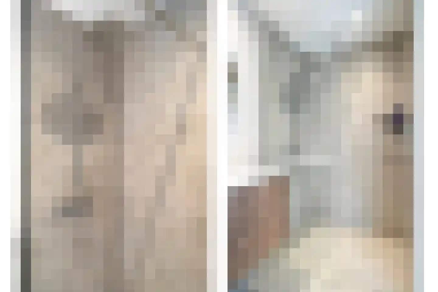 Melkster 12 Gemert thumbnail 26
