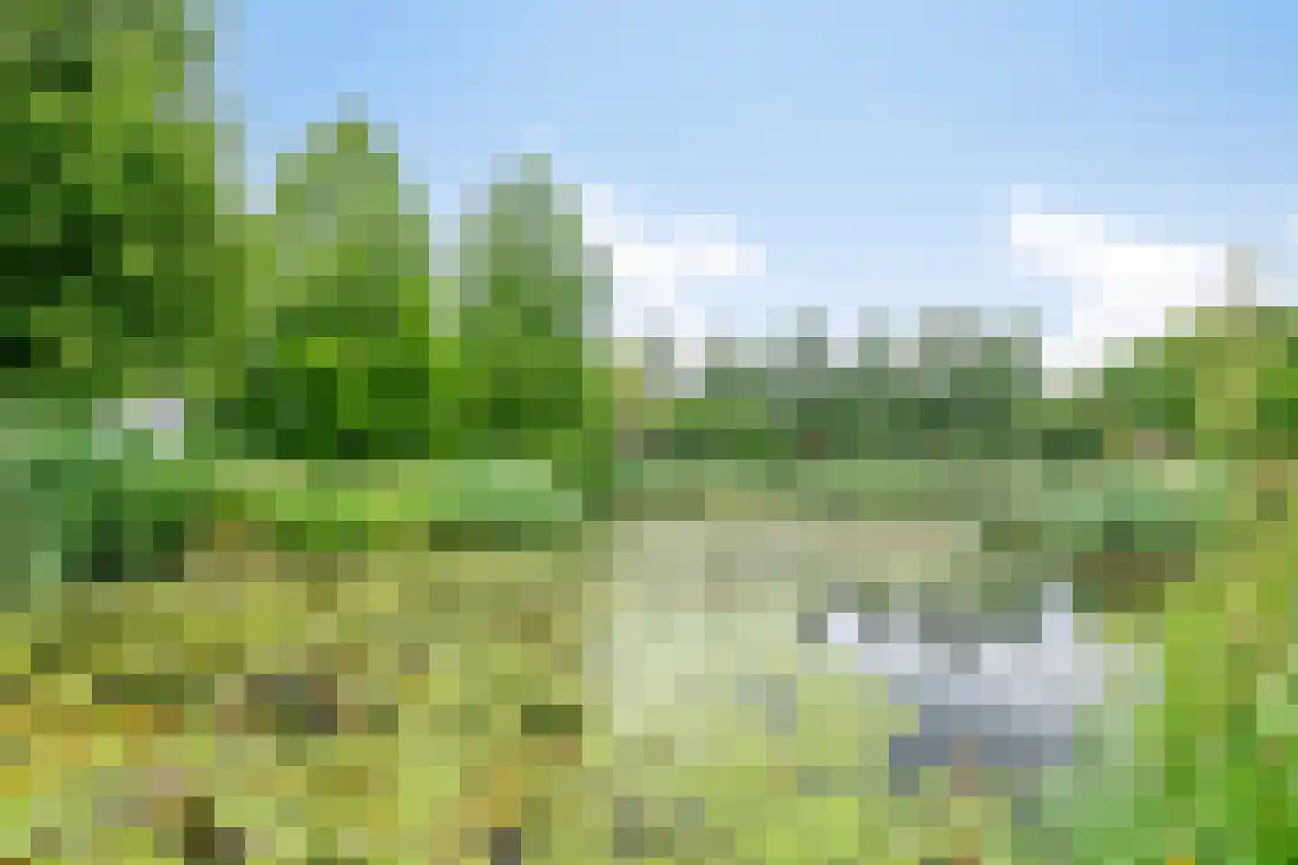 Melkster 12 Gemert thumbnail 36