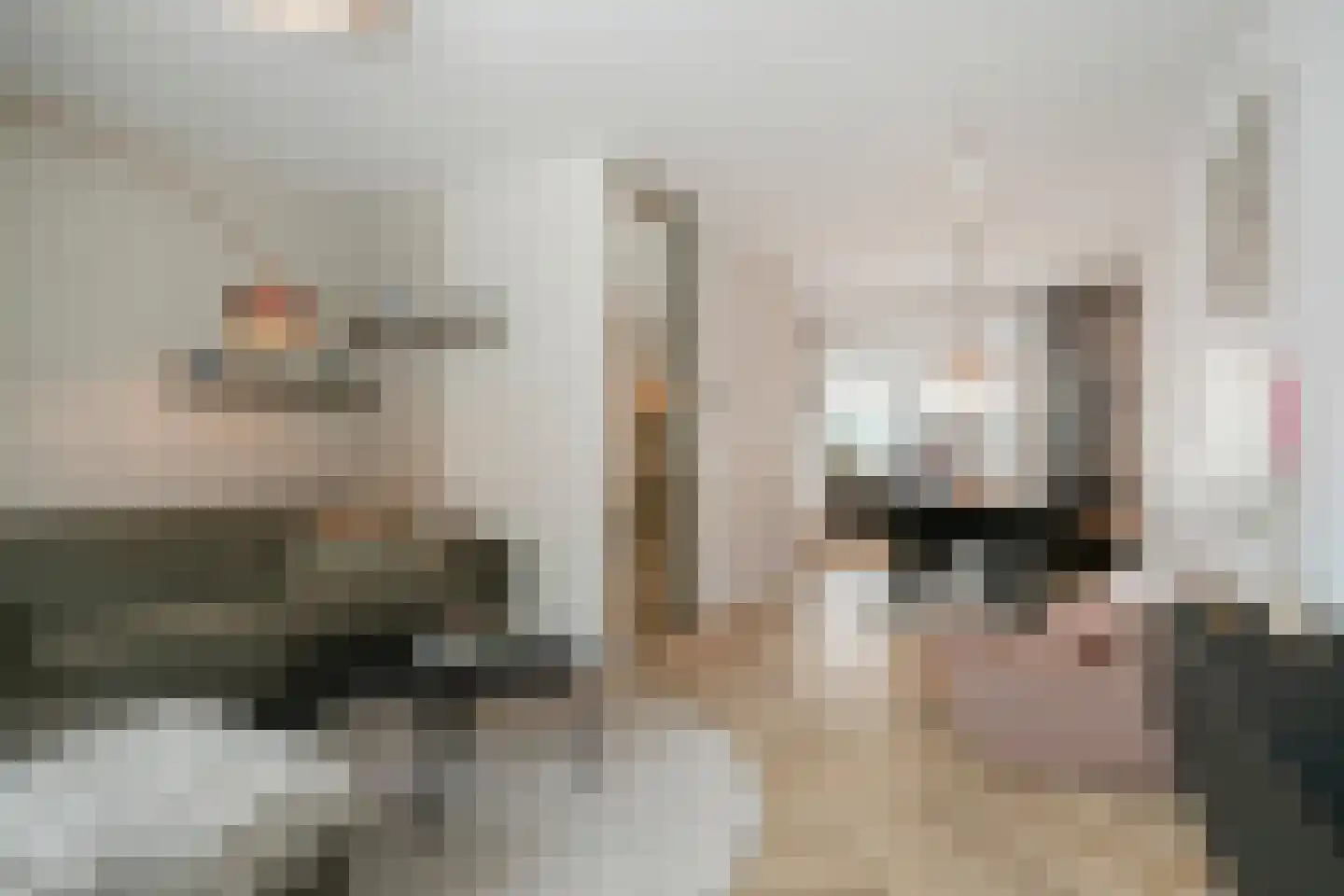 Melkster 12 Gemert thumbnail 4