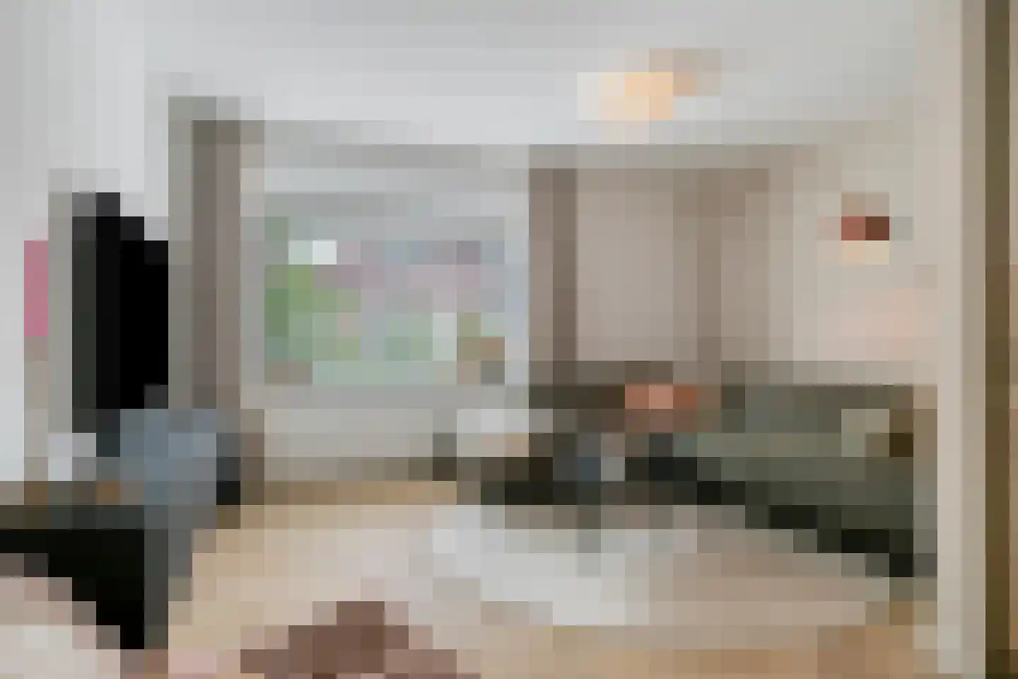 Melkster 12 Gemert thumbnail 5