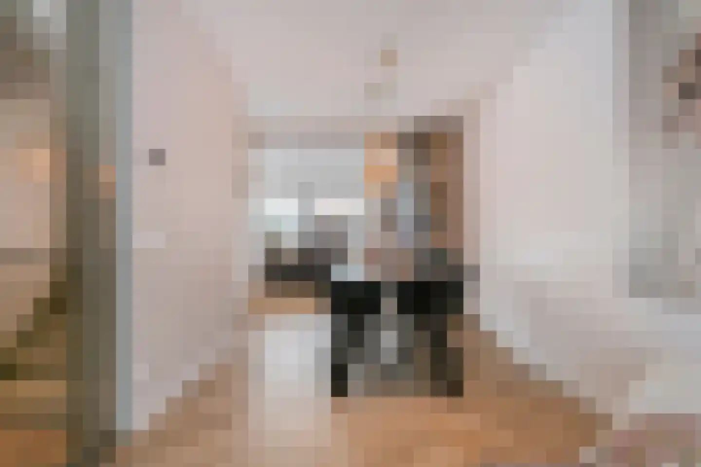 Melkster 12 Gemert thumbnail 7