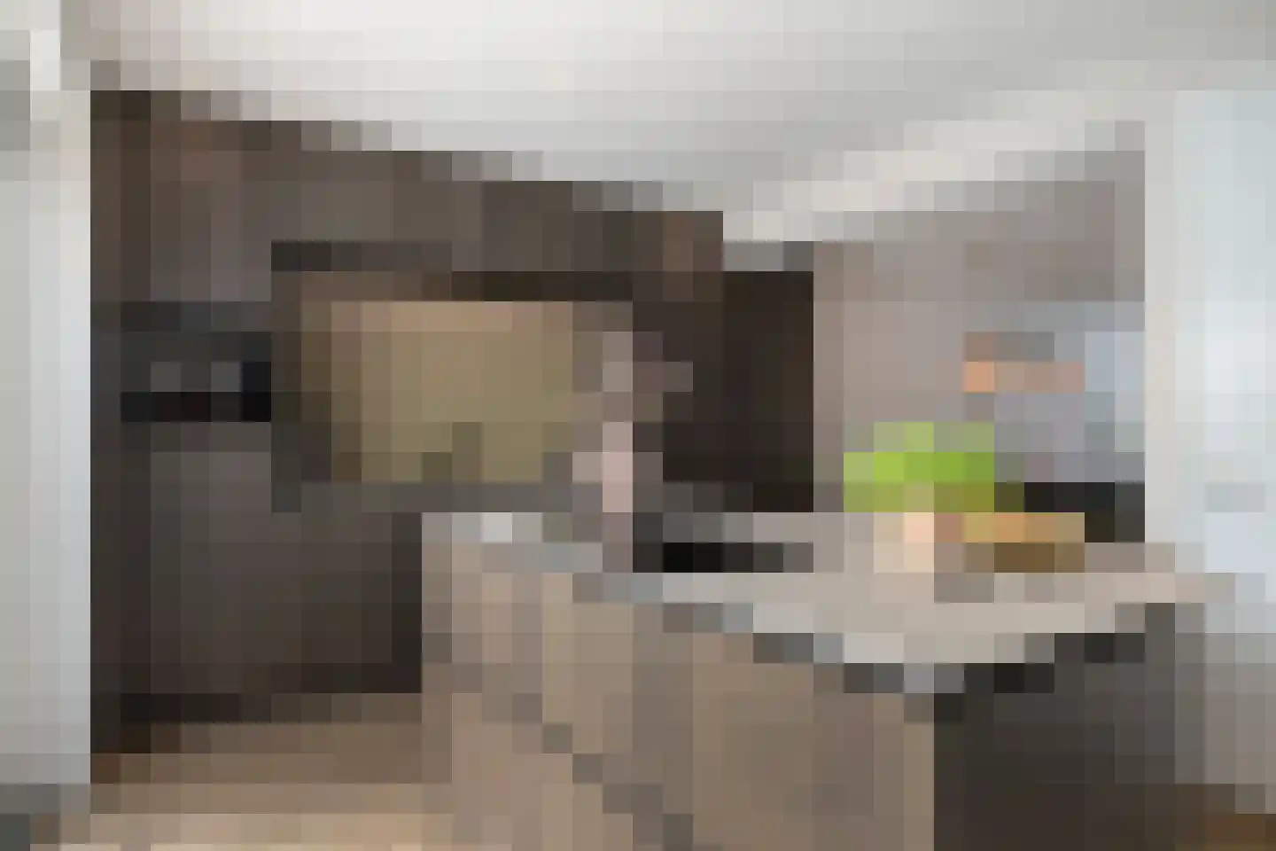 Melkster 12 Gemert thumbnail 8