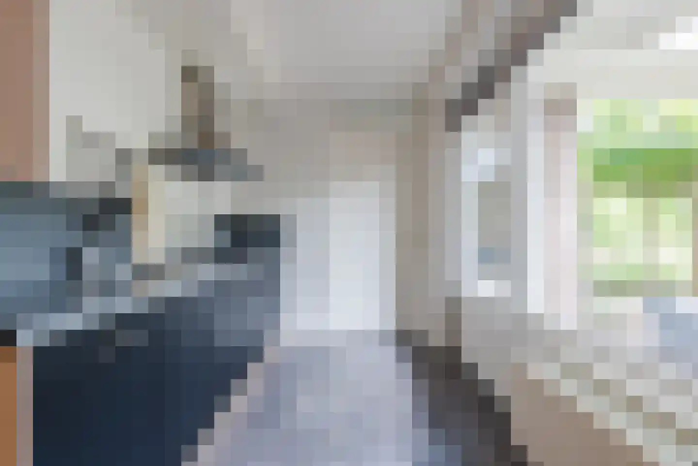 Melkster 20 Gemert thumbnail 12