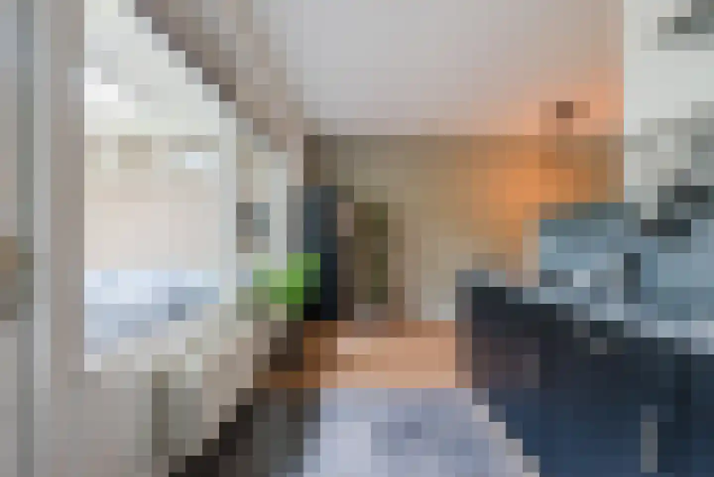 Melkster 20 Gemert thumbnail 14