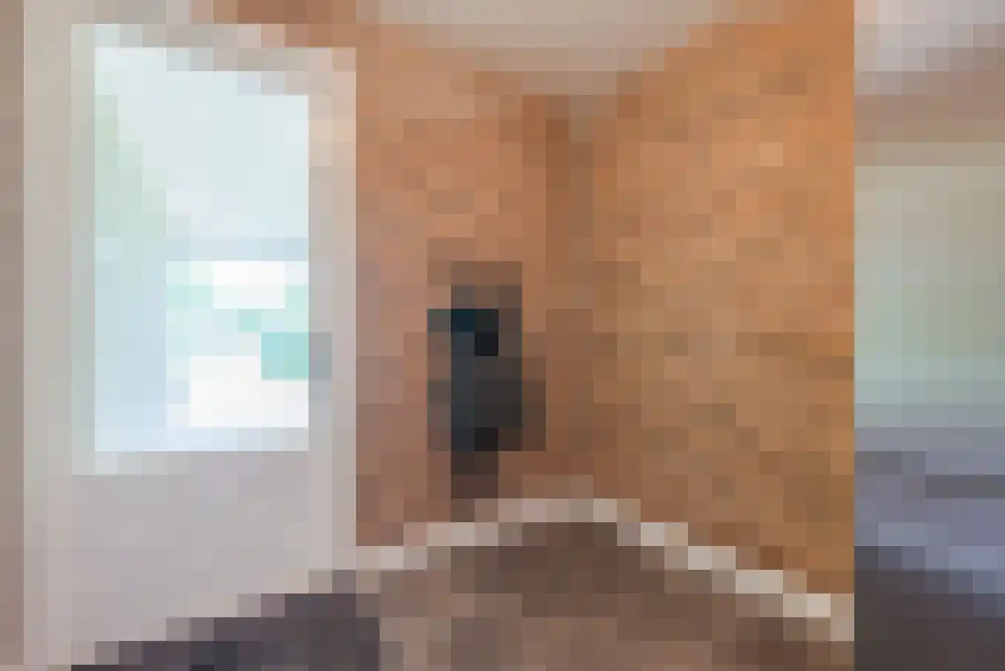 Melkster 20 Gemert thumbnail 17