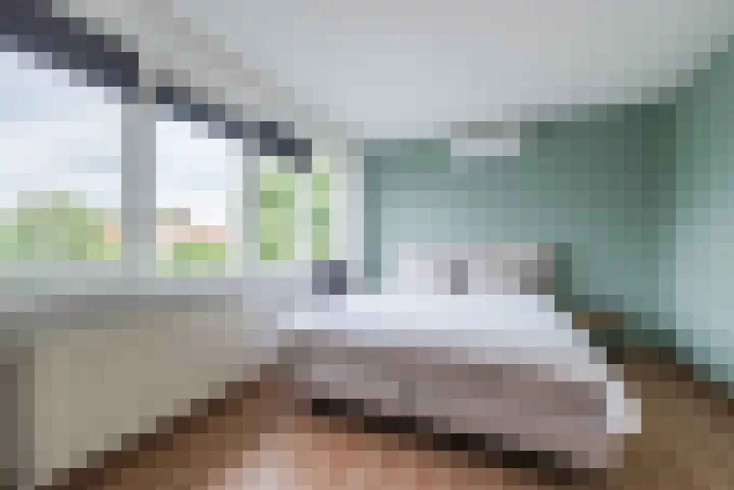 Melkster 20 Gemert thumbnail 19