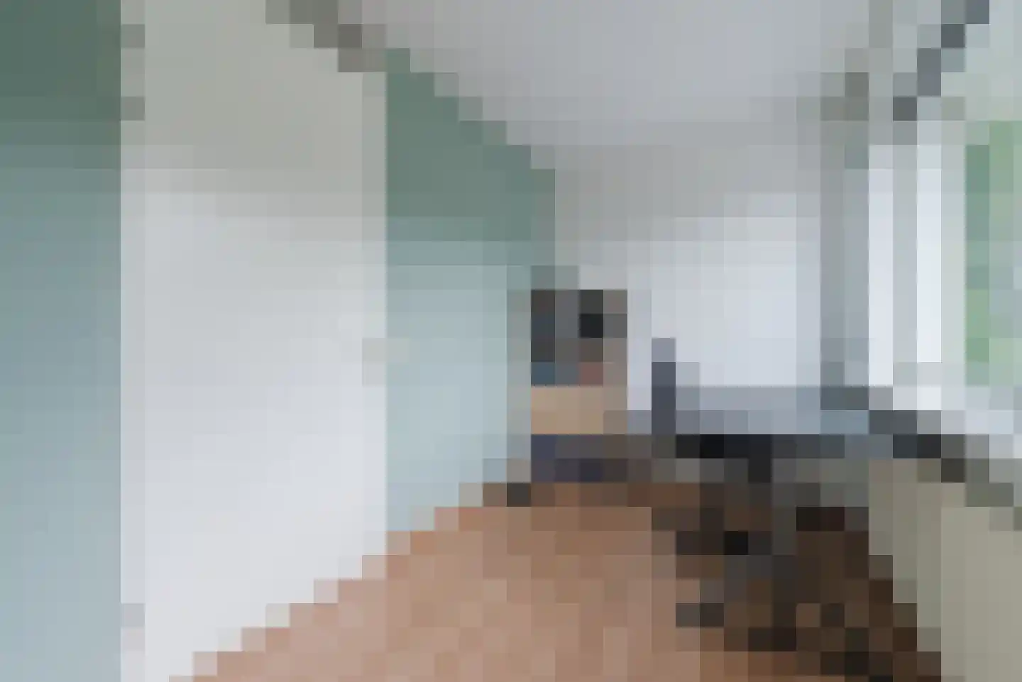 Melkster 20 Gemert thumbnail 22