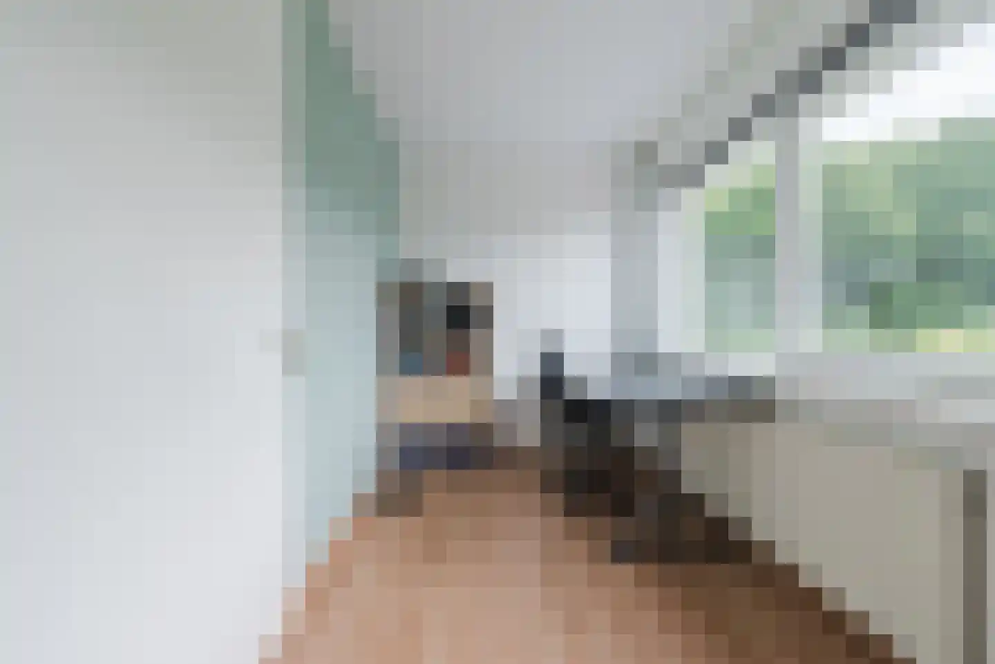 Melkster 20 Gemert thumbnail 23