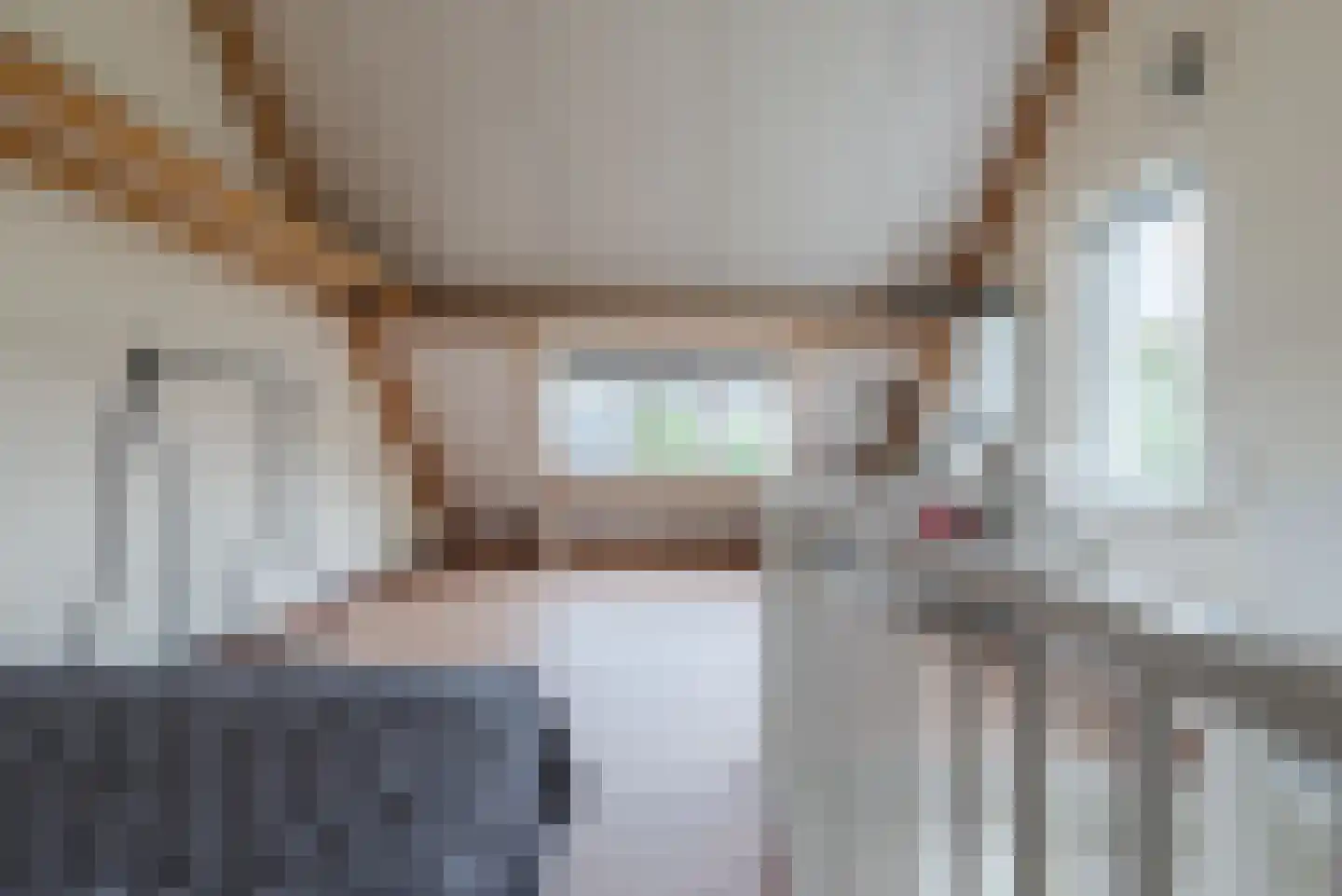 Melkster 20 Gemert thumbnail 29