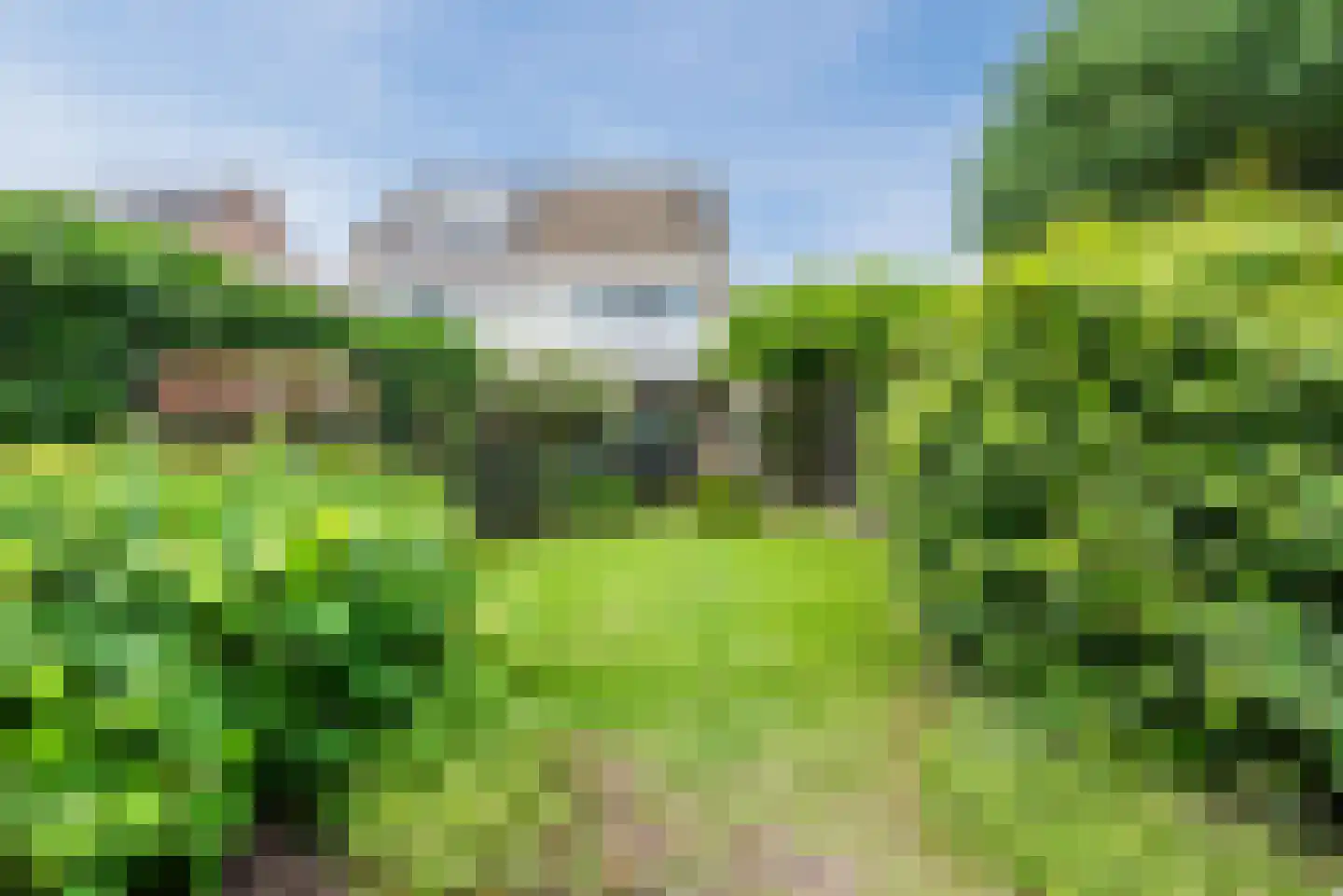 Melkster 20 Gemert thumbnail 30