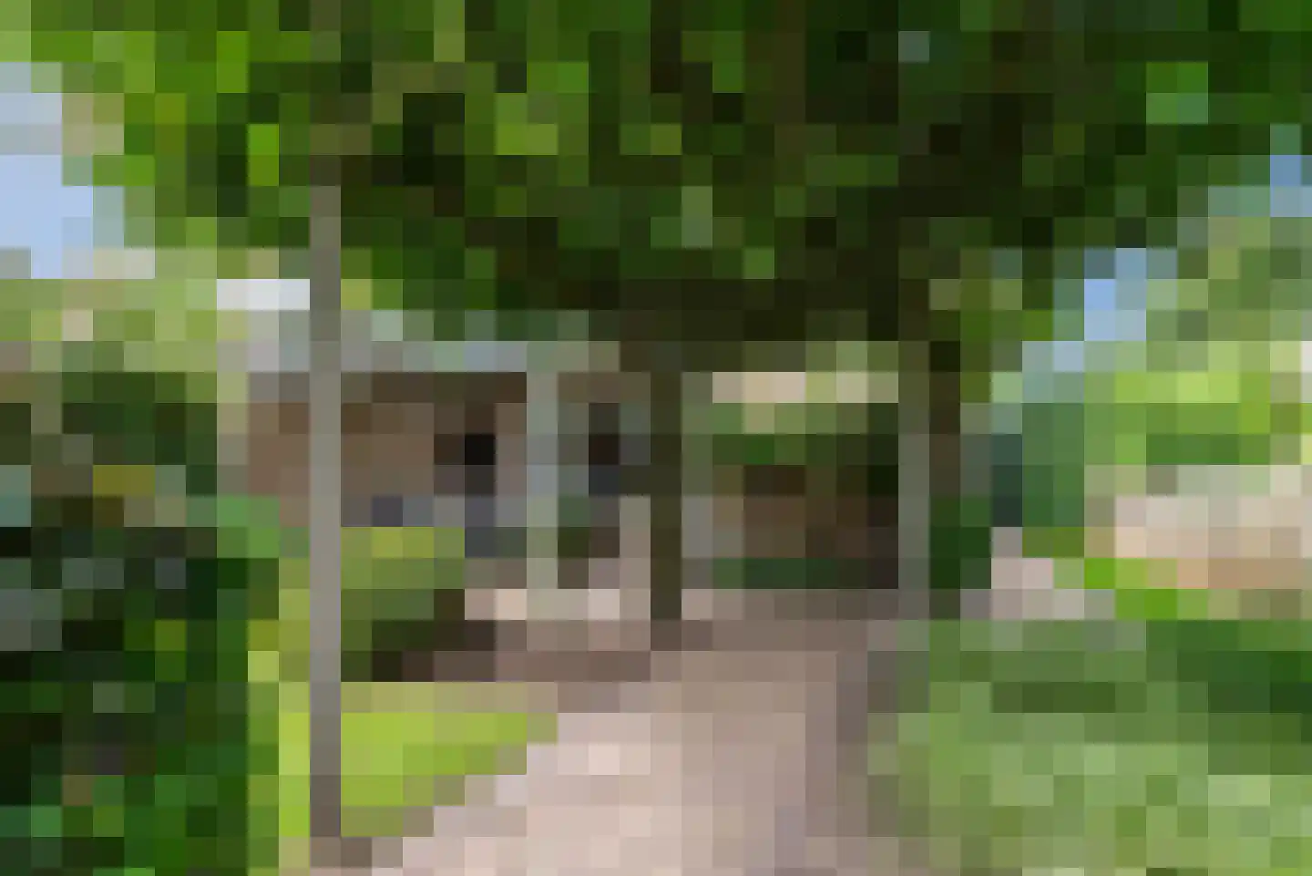 Melkster 20 Gemert thumbnail 31
