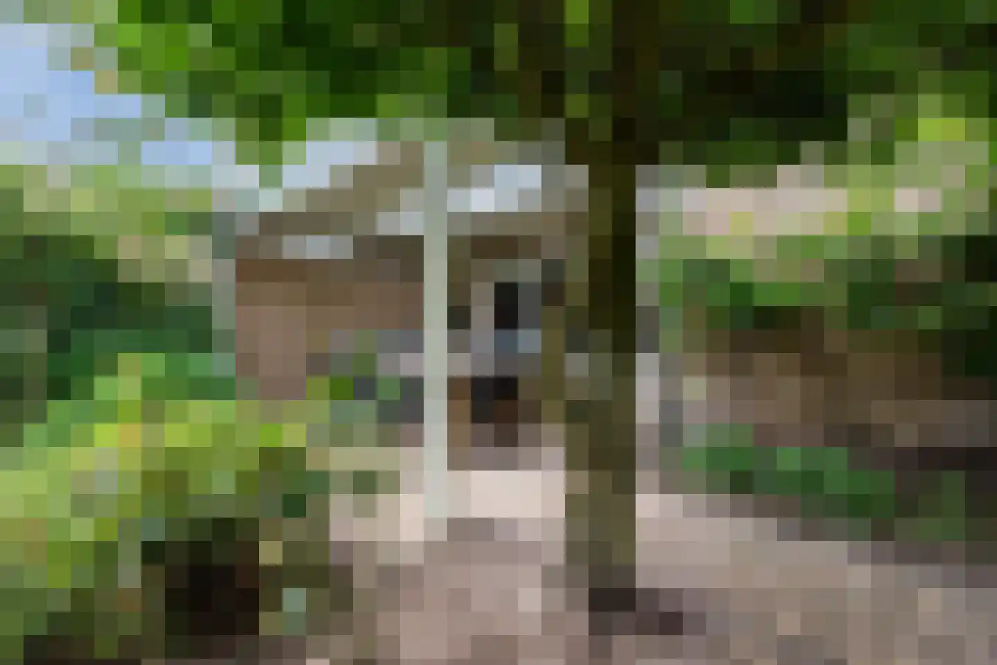 Melkster 20 Gemert thumbnail 32