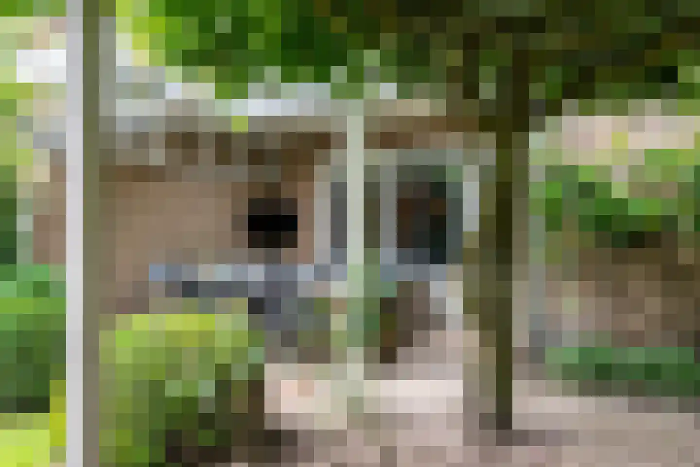 Melkster 20 Gemert thumbnail 33
