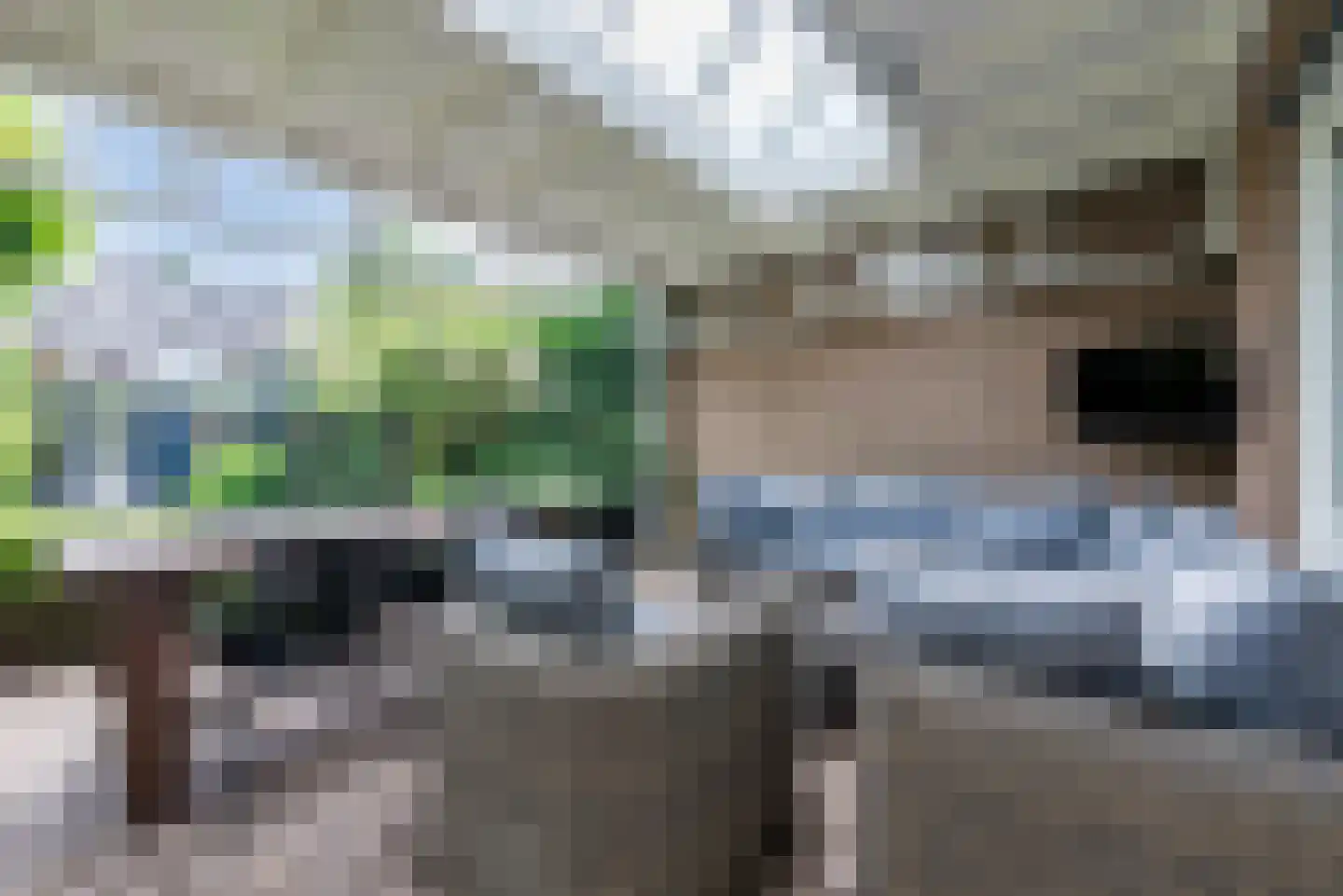 Melkster 20 Gemert thumbnail 34