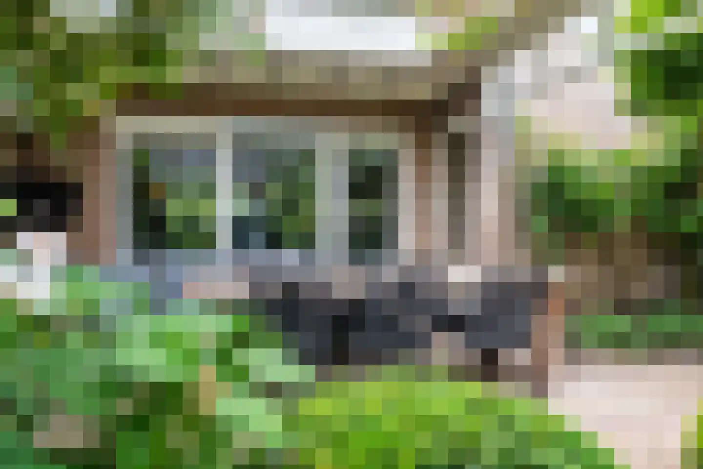 Melkster 20 Gemert thumbnail 34