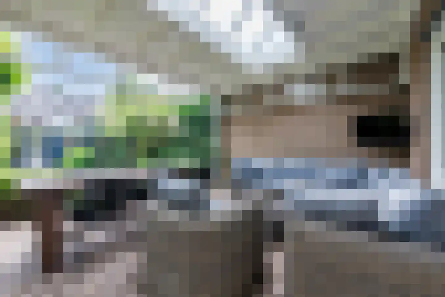Melkster 20 Gemert thumbnail 35