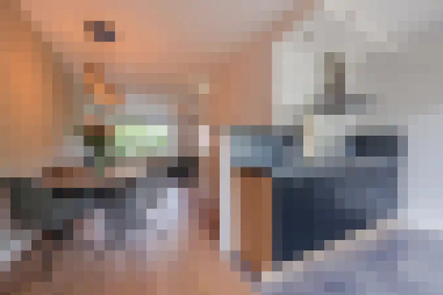 Melkster 20 Gemert thumbnail 5
