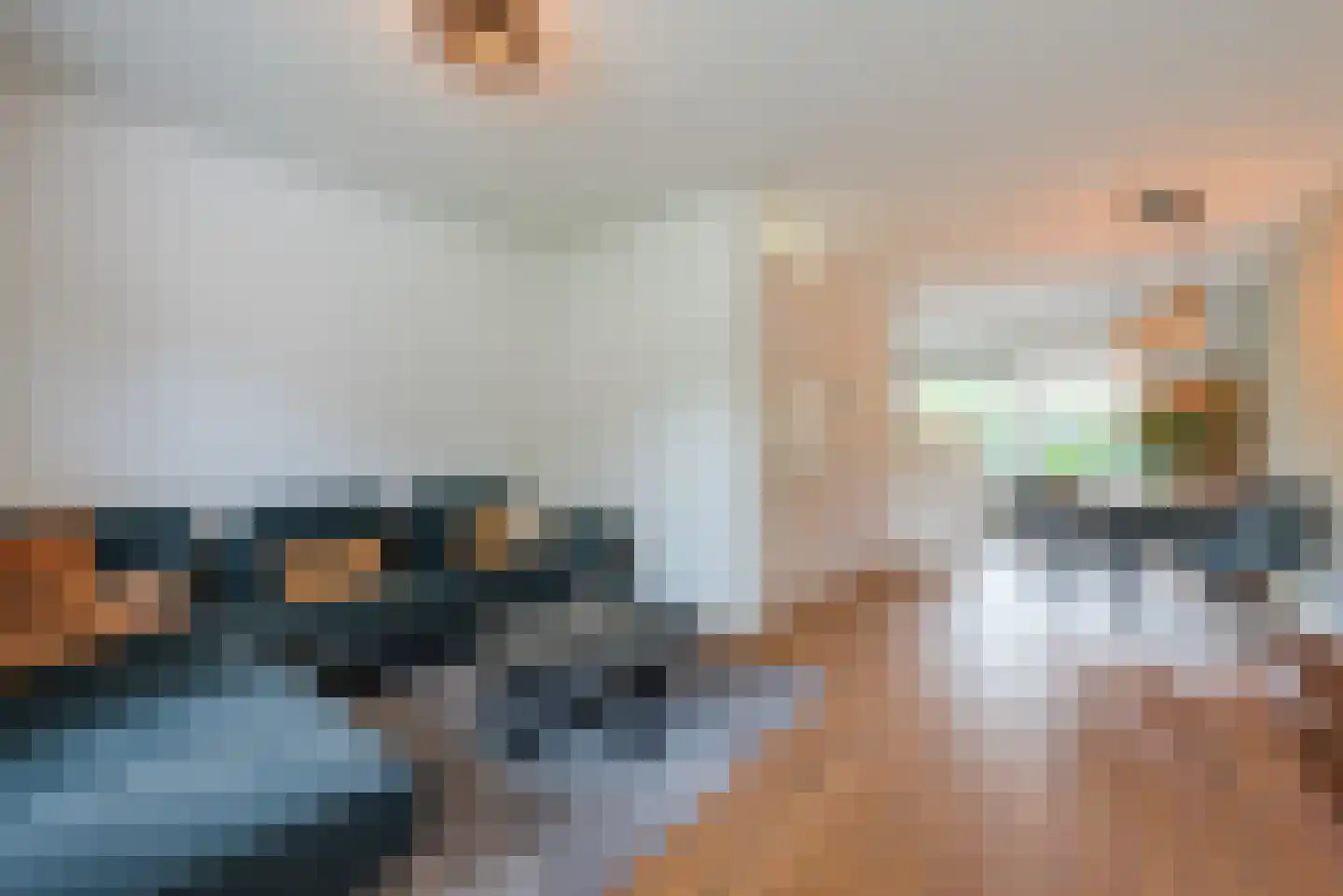 Melkster 20 Gemert thumbnail 9