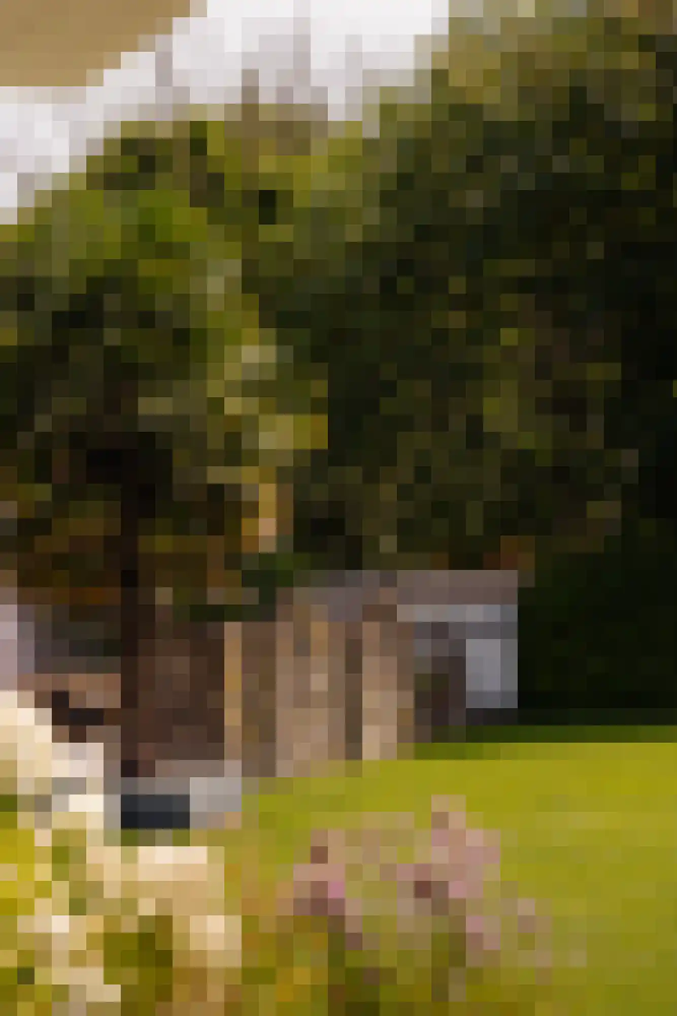 Melkstraat 1 B Bussum thumbnail 67