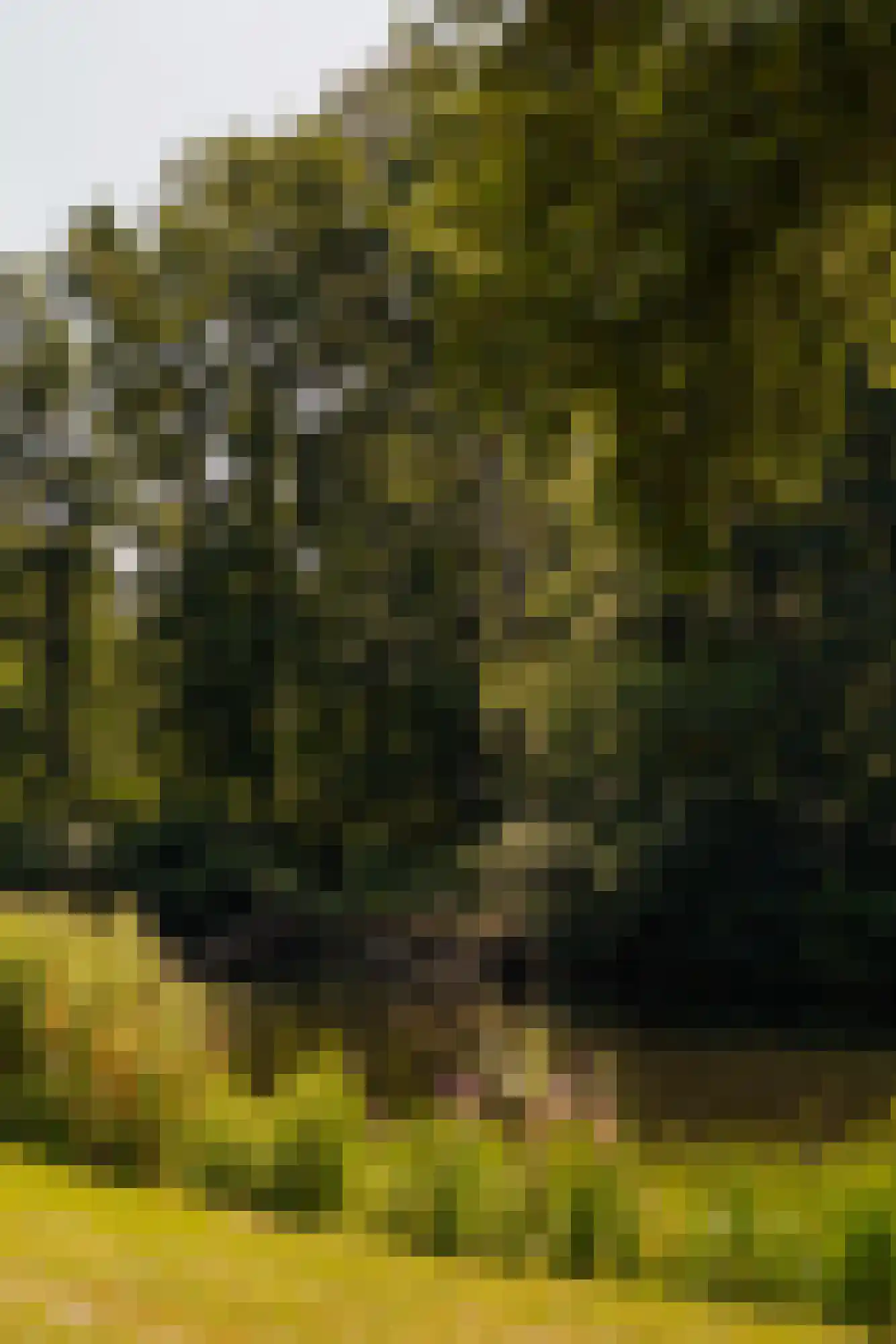 Melkstraat 1 B Bussum thumbnail 85