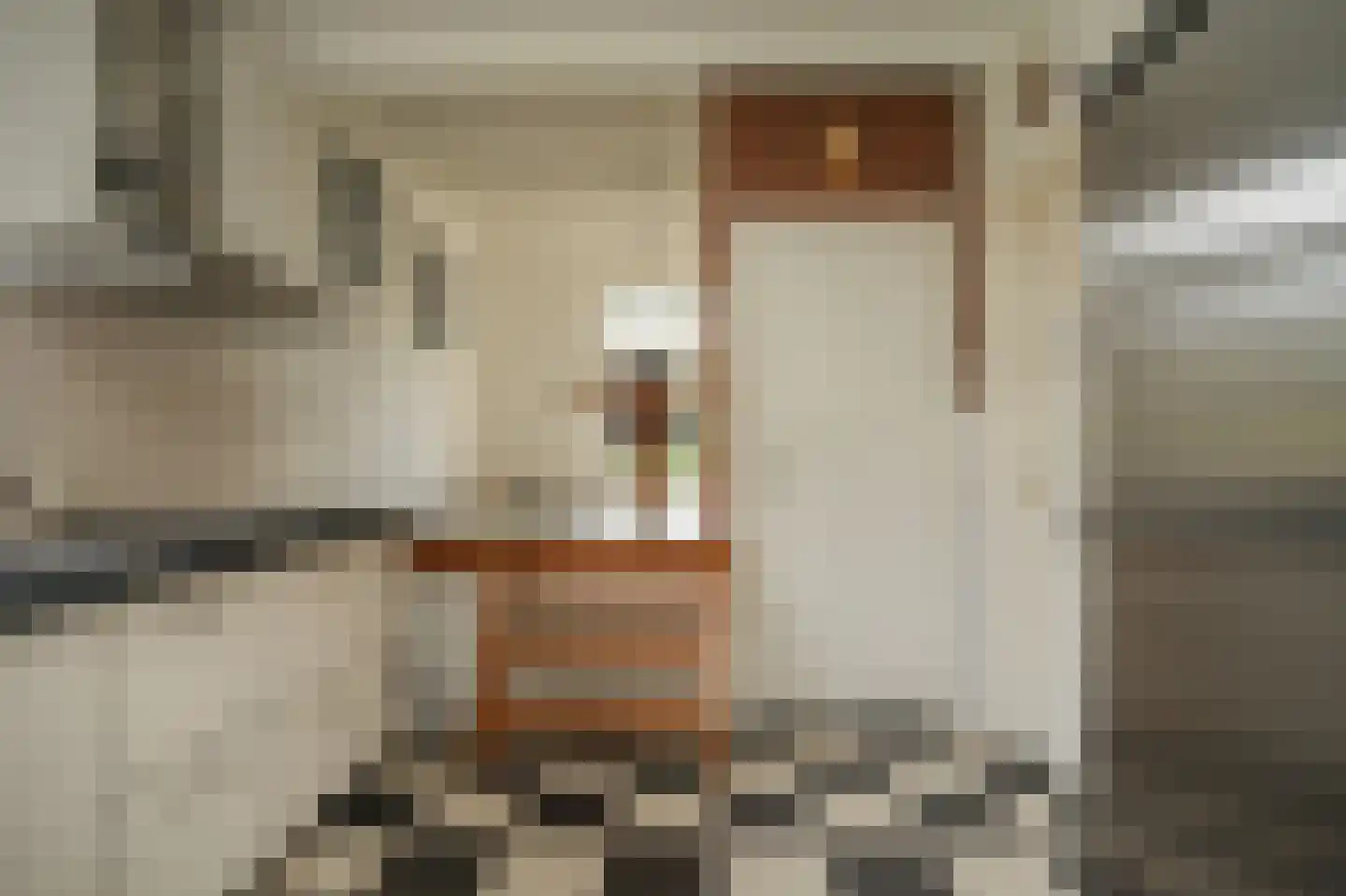 Melkstraat 6 Alphen thumbnail 15