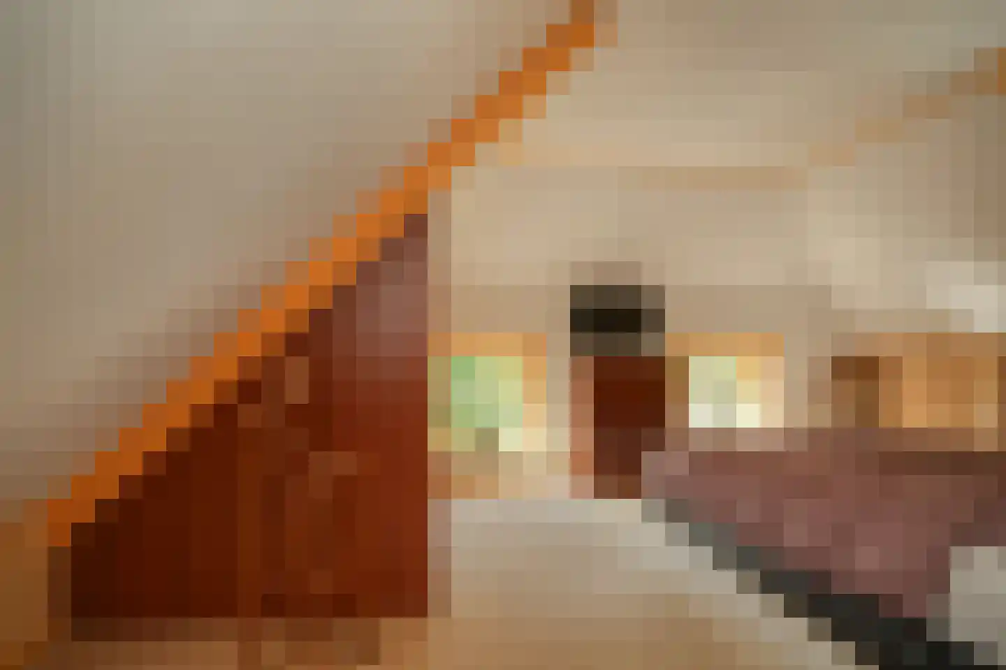 Melkstraat 6 Alphen thumbnail 26