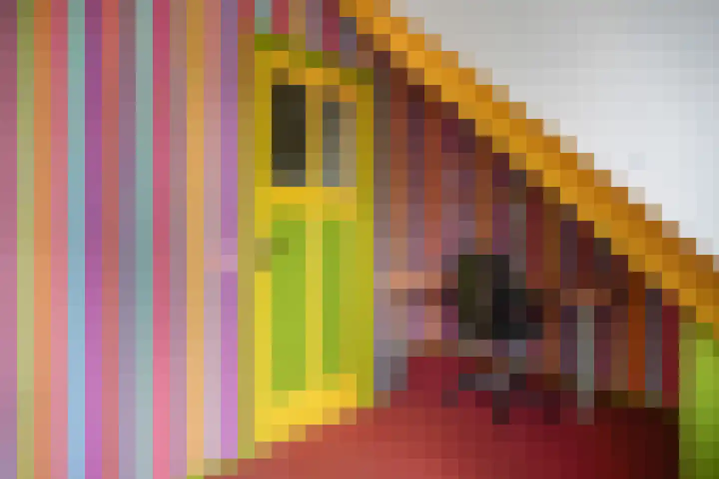 Melkstraat 6 Alphen thumbnail 34