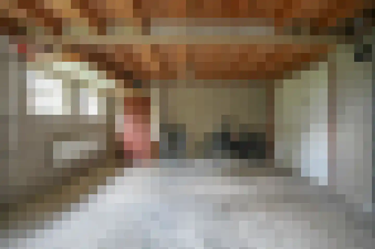 Melkstraat 6 Alphen thumbnail 37
