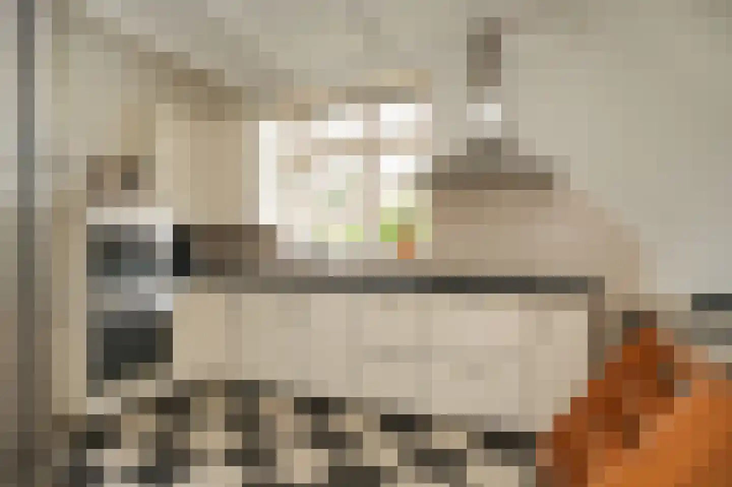 Melkstraat 6 Alphen thumbnail 6